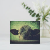 Carte Postale Vache curieuse (Debout devant)