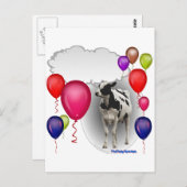 Carte Postale vache d'anniversaire (Devant / Derrière)