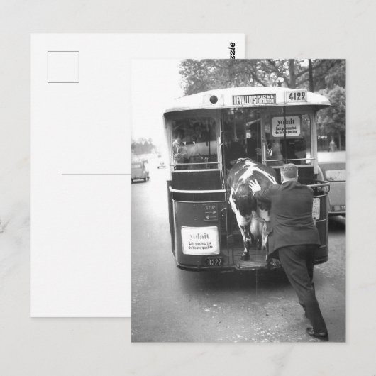 Carte Postale Vache dans le tramway (Devant / Derrière)
