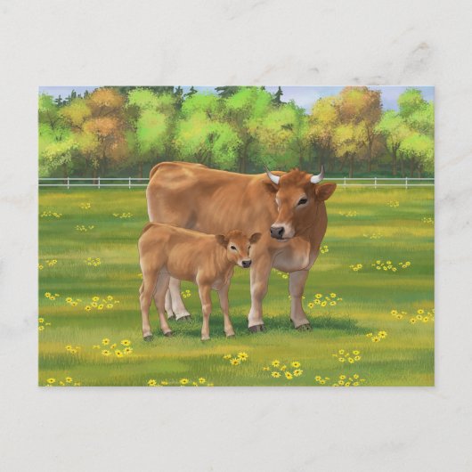 Carte Postale Vache d'Aubrac et veau mignon dans le pâturage de  (Devant)
