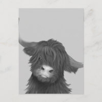 Vache de Balck et de White Highland