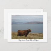 Carte Postale Vache de Highland (Devant / Derrière)
