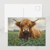 Carte Postale Vache de Highland dans un champ de trèfle (Devant / Derrière)