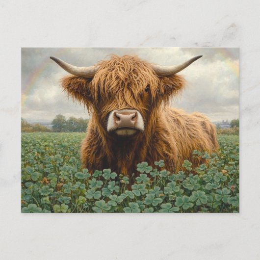 Carte Postale Vache de Highland dans un champ de trèfle (Devant)