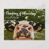 Carte Postale Vache déplaçant le référencement marketing immobil (Devant)