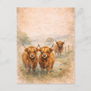Carte Postale Vache des Highlands - Animaux à l'aquarelle