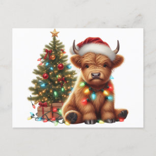 Carte Postale Vache des Highlands de Noël