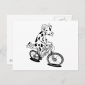 Carte Postale Vache drôle à vélo (Devant / Derrière)