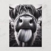 Carte Postale Vache drôle noir et blanc (Devant)