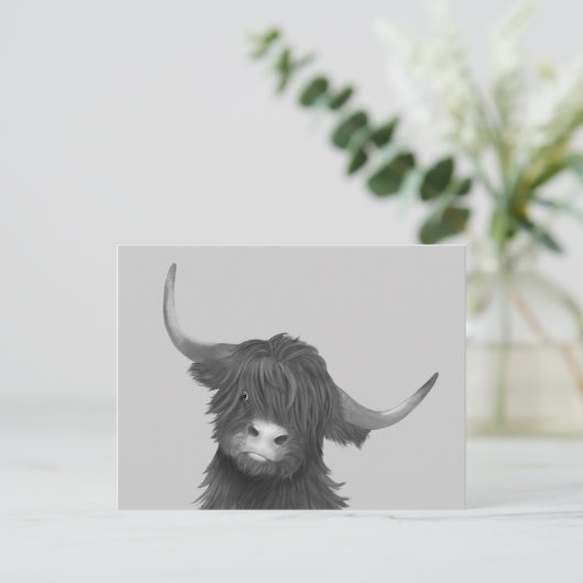 Carte Postale Vache écossaise des Highlands (Debout devant)