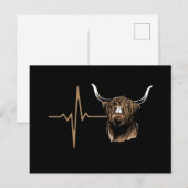 Carte Postale Vache écossaise des Highlands (Devant / Derrière)