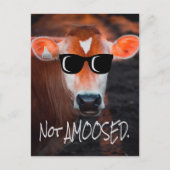 Carte Postale Vache en lunettes de soleil Pas aMOOsed mignon drô (Devant)