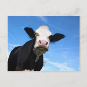 Carte Postale vache fourchue (Devant)