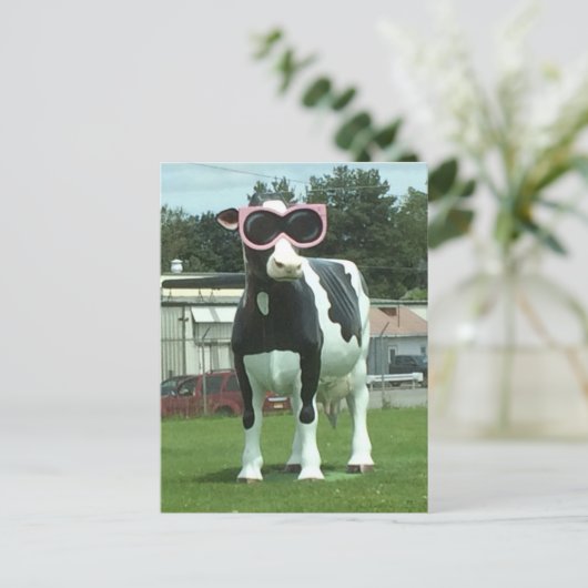 Carte Postale vache fraîche 1 (Debout devant)