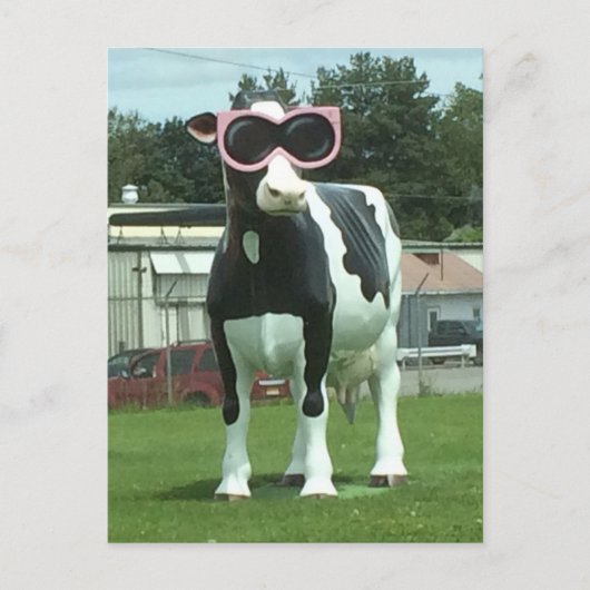 Carte Postale vache fraîche 1 (Devant)