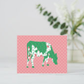 Carte Postale vache frisonne, koe friese (Debout devant)