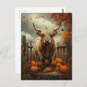 Carte Postale Vache Highland dans Patch Citrouille (Devant / Derrière)