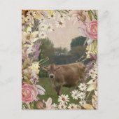 Carte Postale Vache Jersey Fleurs Pays (Devant)