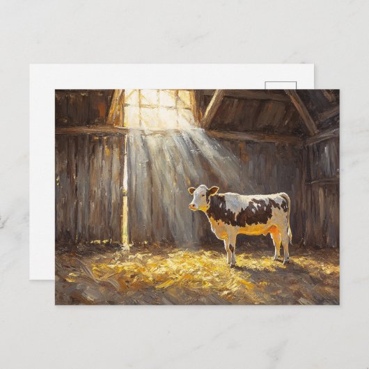 Carte Postale Vache laitière dans une ferme rustique d'élevage (Devant / Derrière)