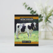 Carte Postale Vache laitière du Wisconsin (Debout devant)