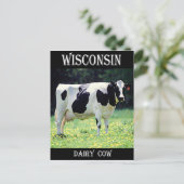 Carte Postale Vache laitière du Wisconsin (Debout devant)