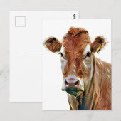 CARTE POSTALE VACHE MIGNONNE (Devant / Derrière)