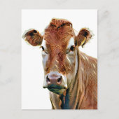 CARTE POSTALE VACHE MIGNONNE (Devant)