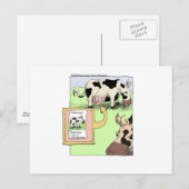 Carte Postale Vache Perdue Cadeaux et Objets de Collection Drôle (Devant / Derrière)