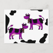Carte Postale Vache pourpre avec Arrière - plan noir et blanc (Devant)