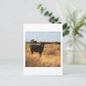 Carte Postale Vache sur la chaîne (Debout devant)