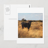 Carte Postale Vache sur la chaîne (Devant / Derrière)