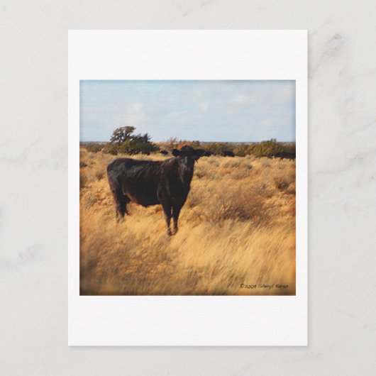 Carte Postale Vache sur la chaîne (Devant)