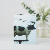 Carte Postale Vache sur un pôle téléphonique (Debout devant)