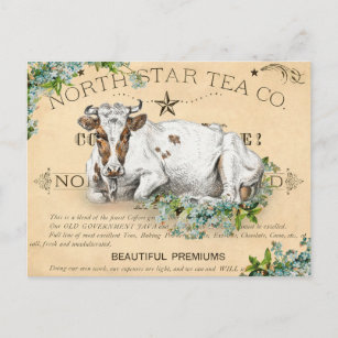 Carte Postale Vache vintage