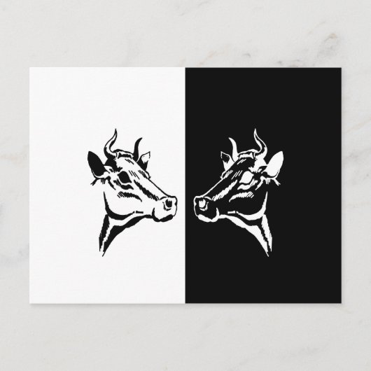 Carte Postale Vaches (Devant)