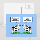 Carte Postale vaches (Devant / Derrière)