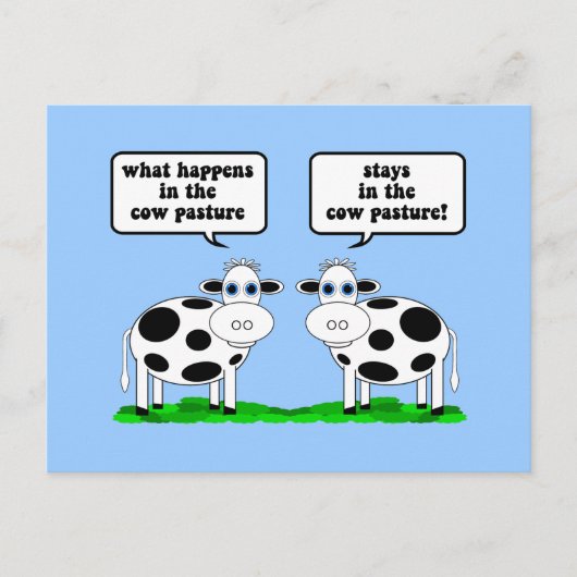 Carte Postale vaches (Devant)