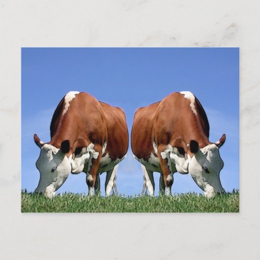 Carte Postale Vaches (Devant)