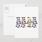 Carte Postale vaches (Devant / Derrière)