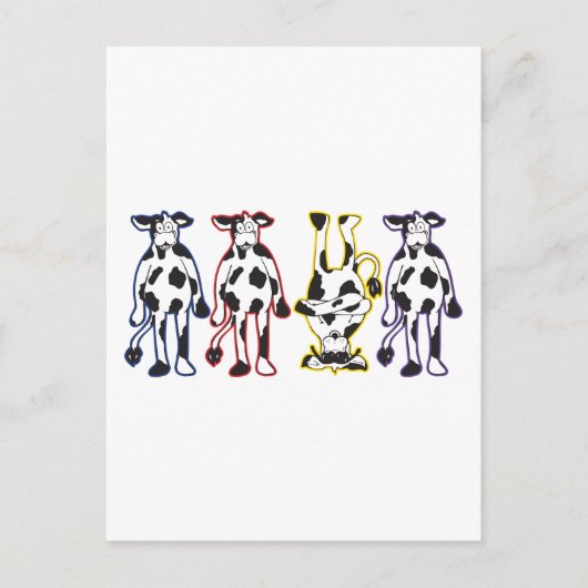 Carte Postale vaches (Devant)