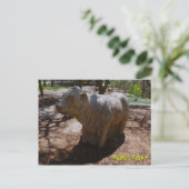 Carte Postale Vaches à l'Arboretum (Debout devant)