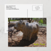 Carte Postale Vaches à l'Arboretum (Devant / Derrière)