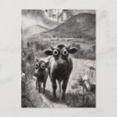 Carte Postale Vaches blanches et noires (Devant)