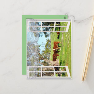 Carte Postale Vaches brunes dans ma fenêtre,