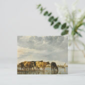 Carte Postale Vaches dans une rivière Aelbert Cuyp (Debout devant)
