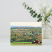 Carte Postale Vaches d'automne (Debout devant)