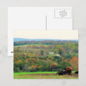 Carte Postale Vaches d'automne (Devant / Derrière)