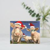 Carte postale Vaches de Noël (Debout devant)