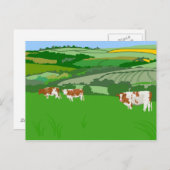 Carte Postale Vaches de pâturage (Devant / Derrière)