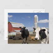 Carte Postale Vaches devant une grange rouge et silo sur une fer (Devant / Derrière)